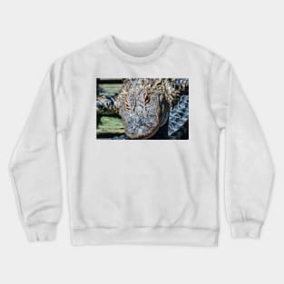 FaceTime with the Alligator Crewneck Sweatshirt